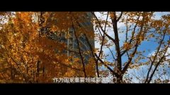  第十个全家平安教育